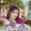 About Chhora Teri De Jaiyo Tasveer Song